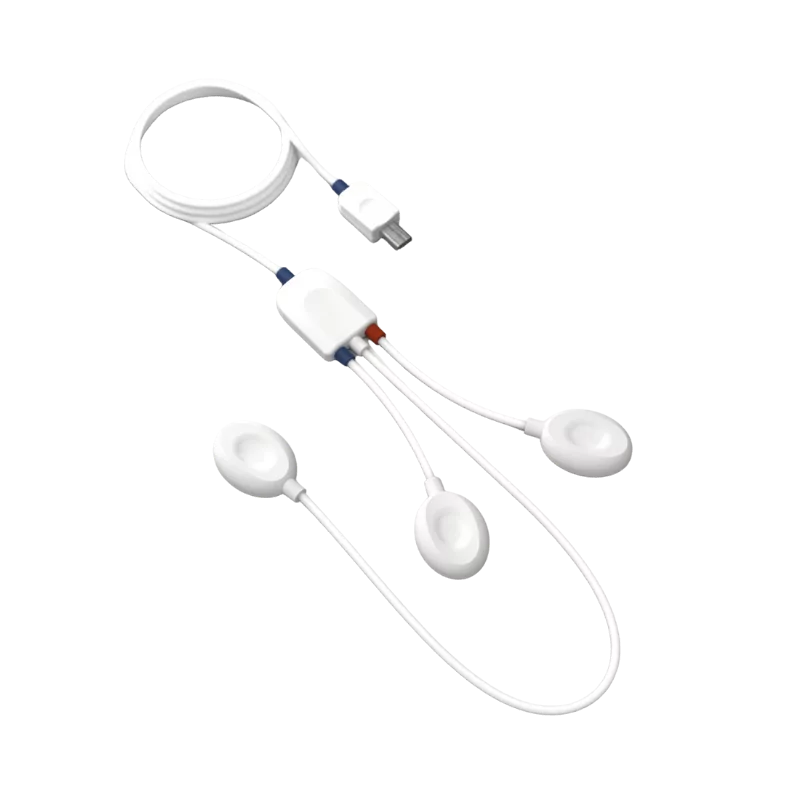 Electroencéphalographie (EEG)