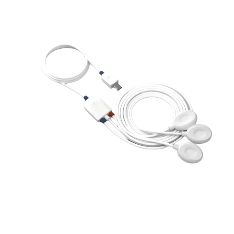 Electrogastrographie (EGG)