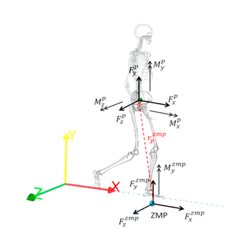 Passer à la cartographie de pression Tekscan pour compléter ou en alternative aux mesures de force pour l'analyse de la marche et de la biomécanique du pied