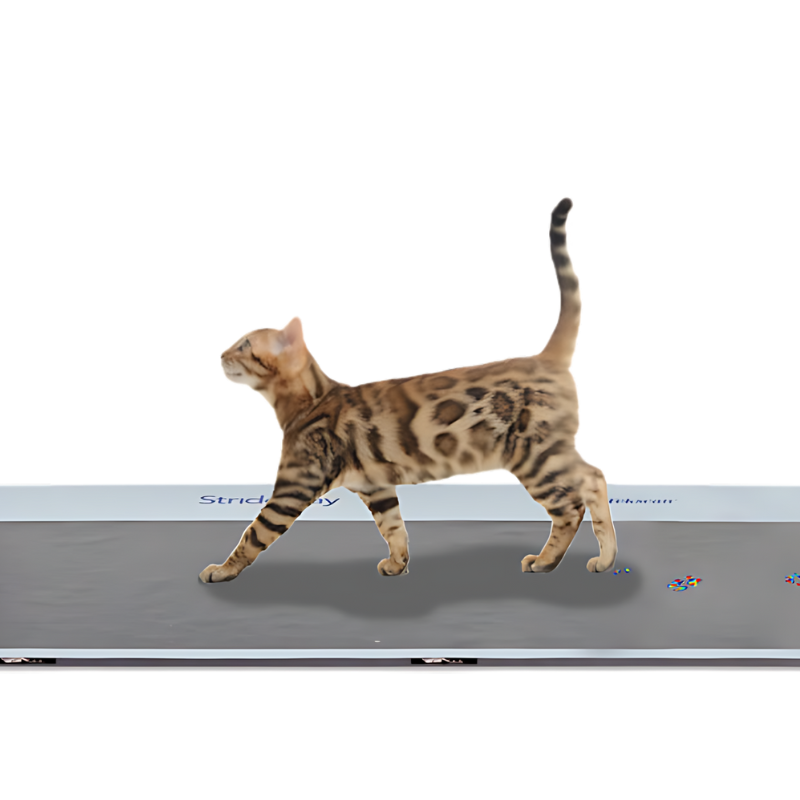 Tekscan Strideway mesure les pressions sous les pattes et sabots pour analyse de la marche des animaux bipèdes et quadrupèdes